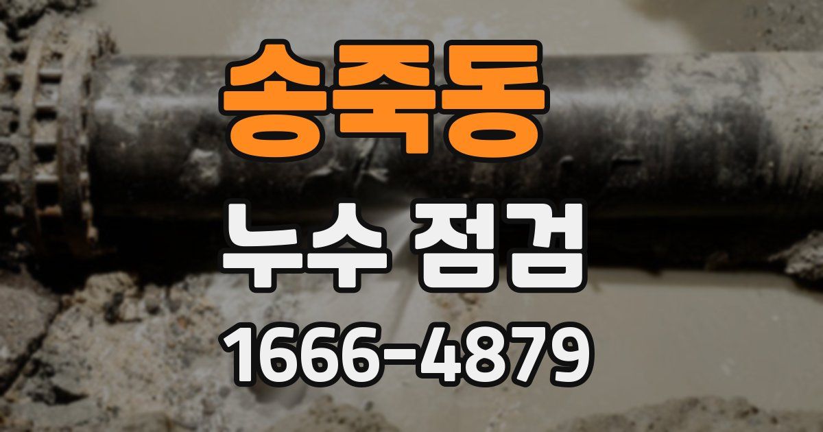 송죽동 누수 점검