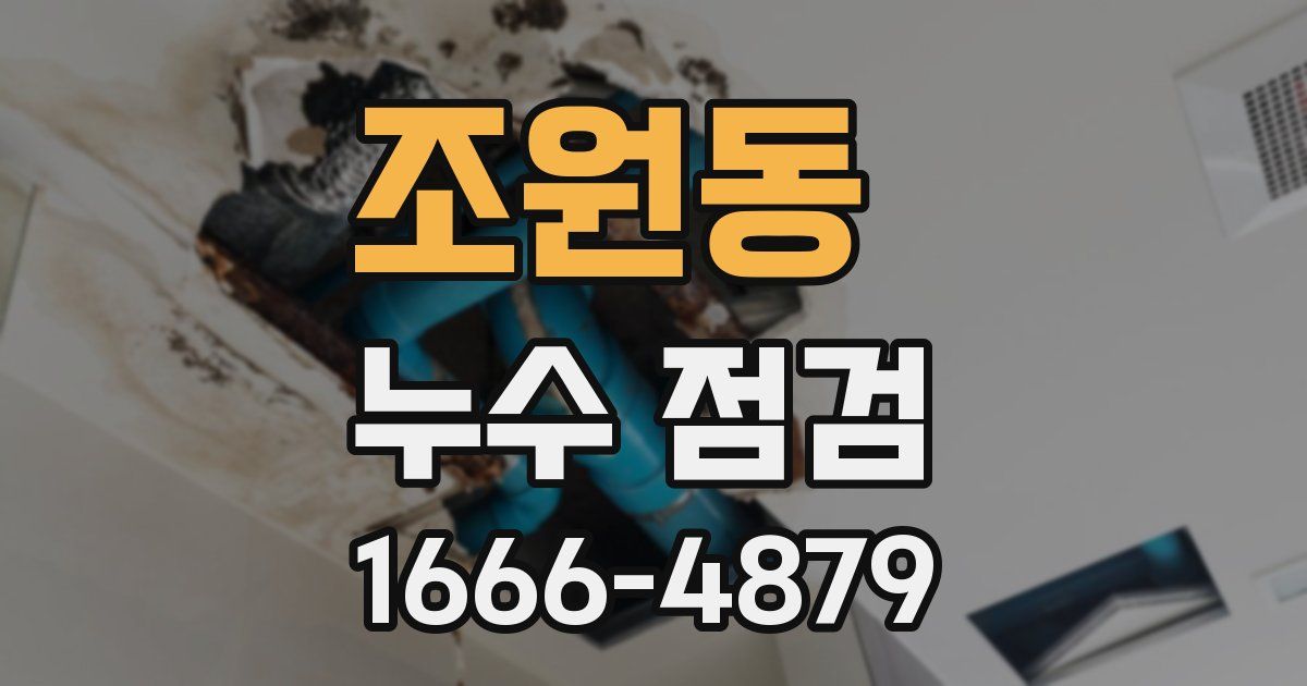 조원동 누수 점검