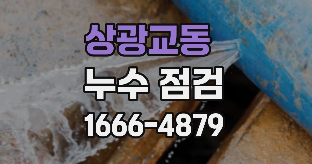 상광교동 누수 점검