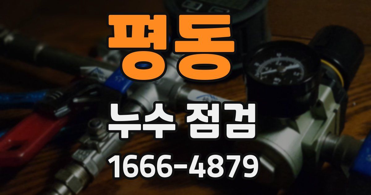 평동 누수 점검