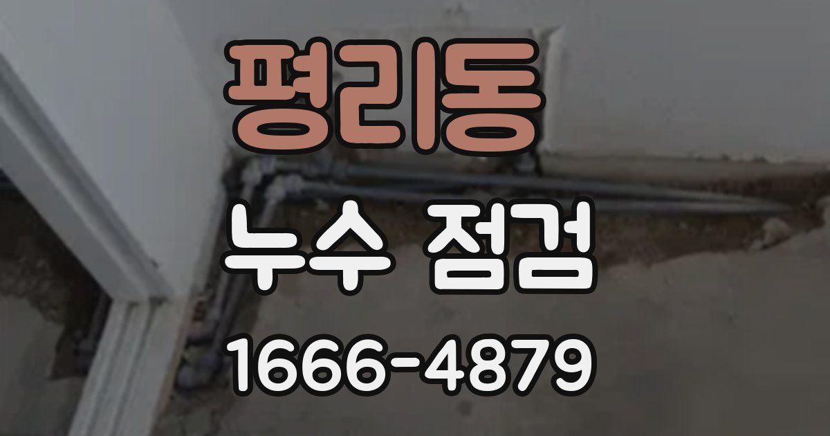 평리동 누수 점검