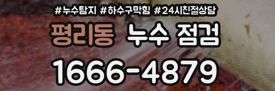 평리동 누수 점검