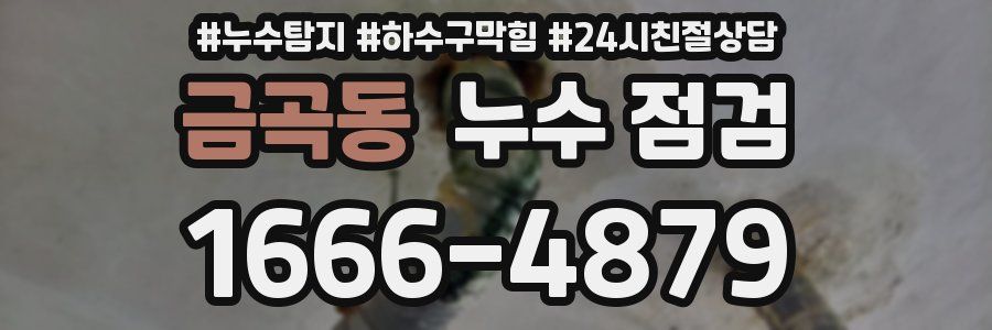 금곡동 누수 점검