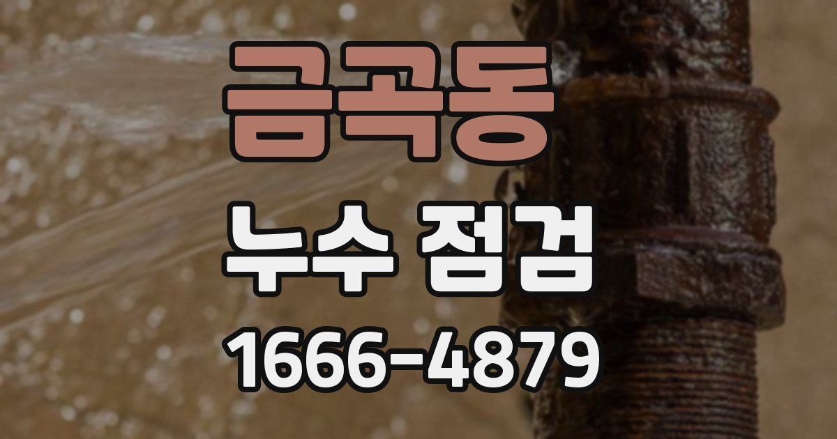 금곡동 누수 점검
