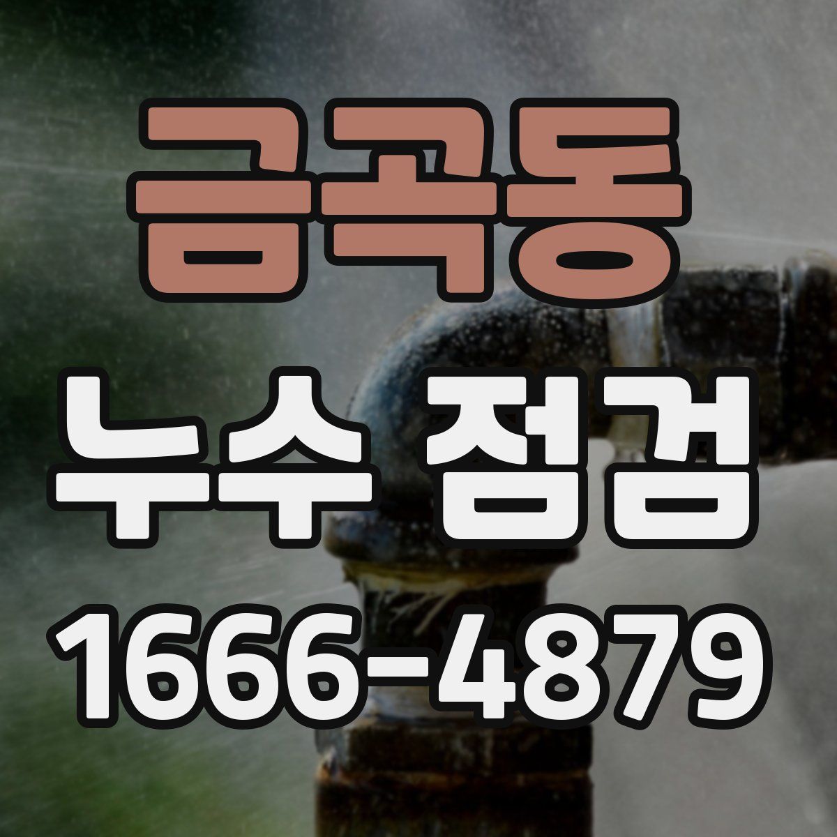 금곡동 누수 점검