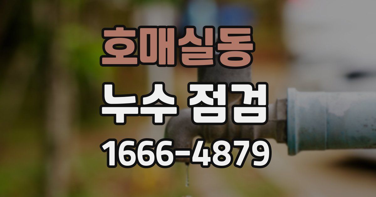 호매실동 누수 점검