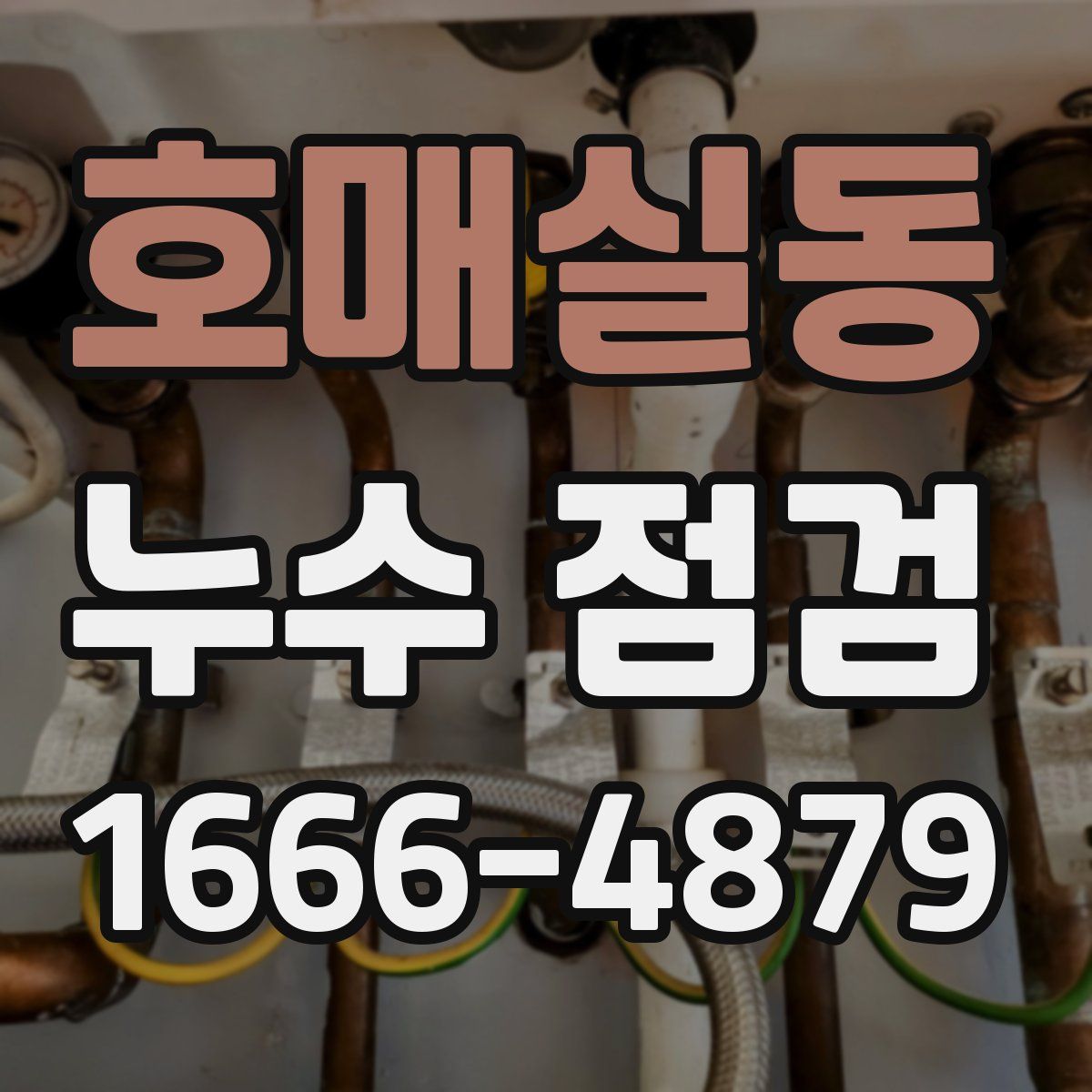 호매실동 누수 점검