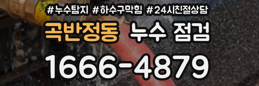 곡반정동 누수 점검