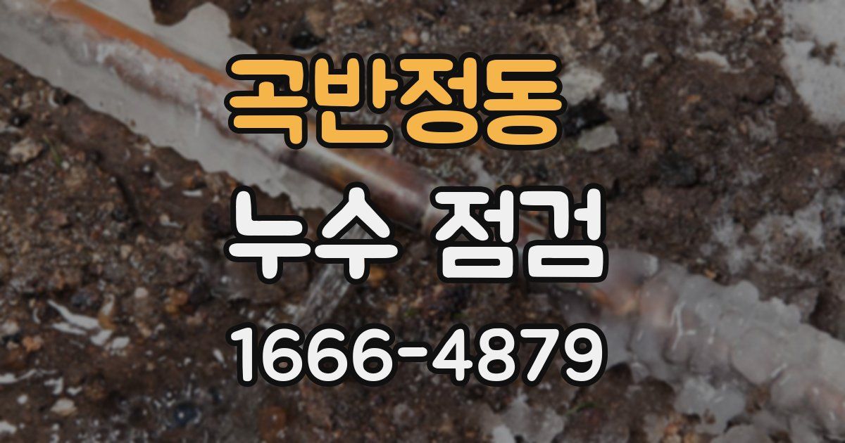 곡반정동 누수 점검