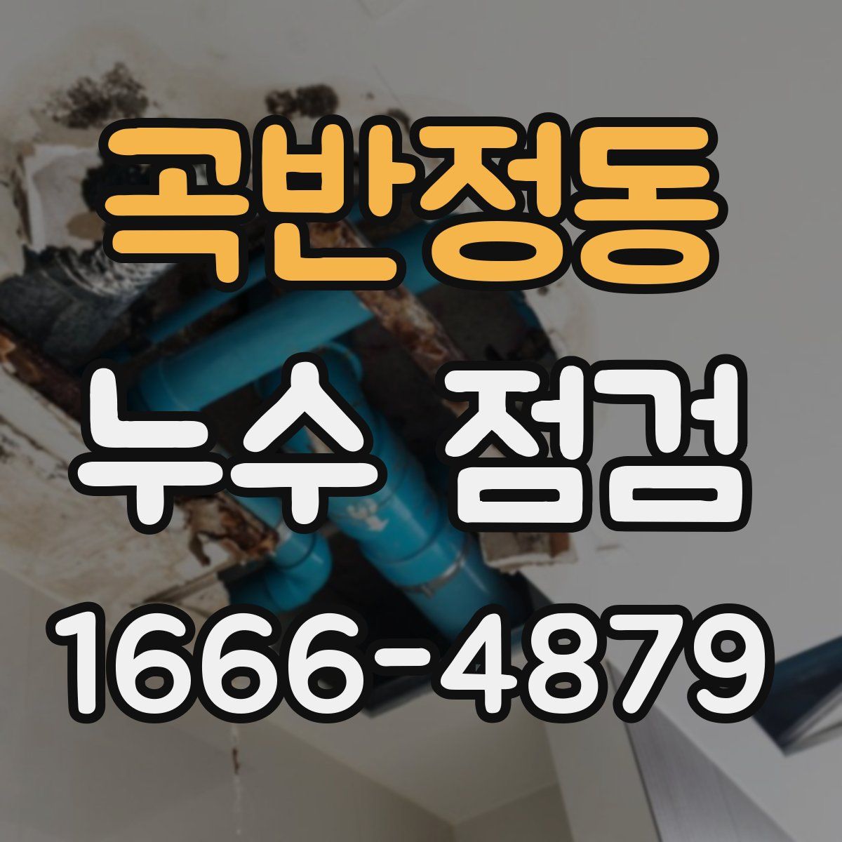 곡반정동 누수 점검
