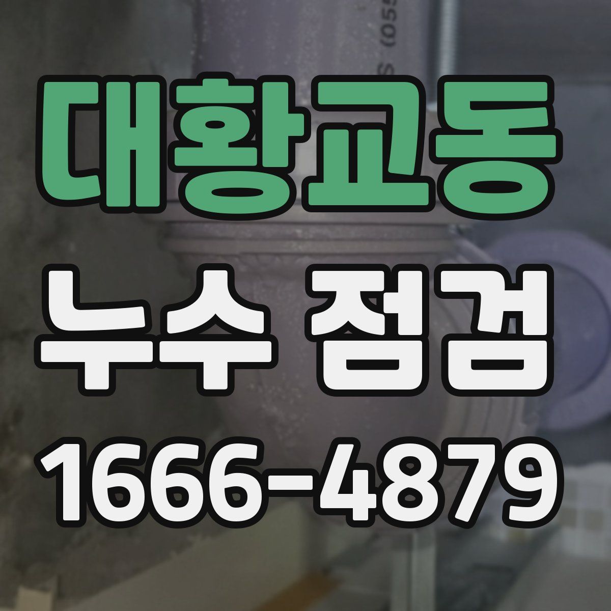 대황교동 누수 점검