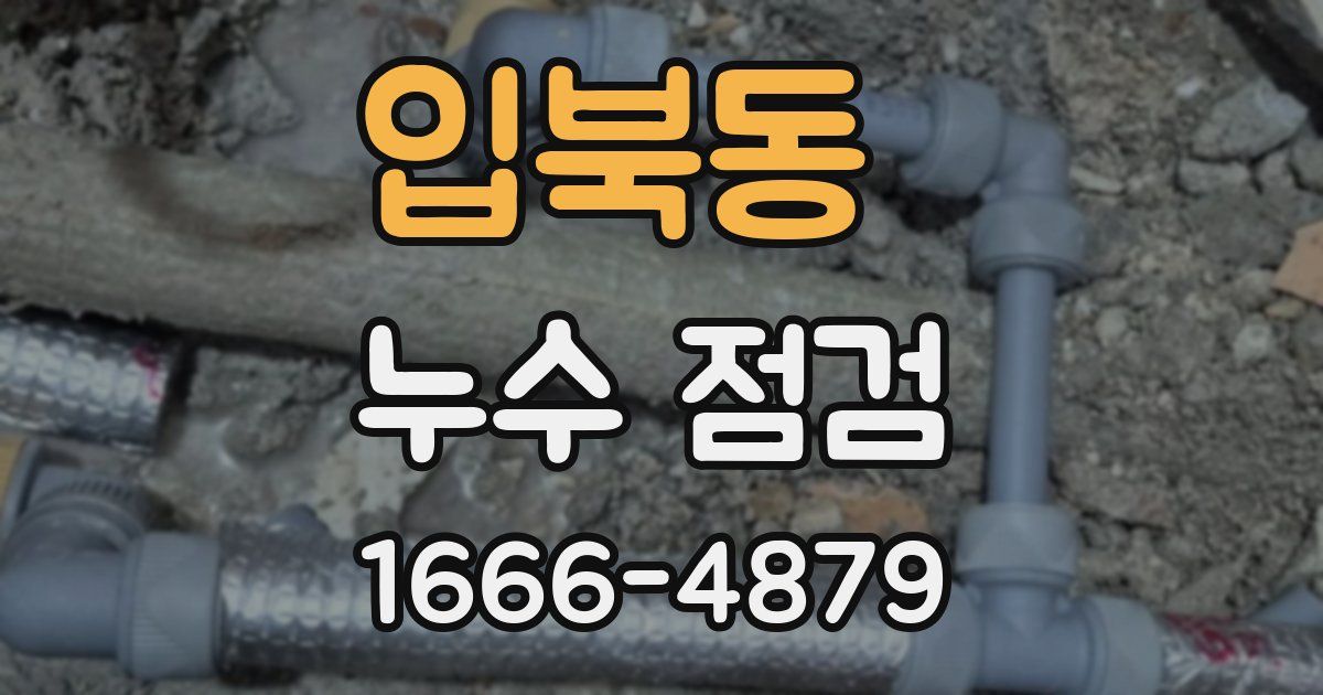 입북동 누수 점검