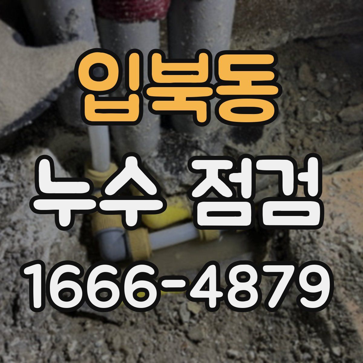 입북동 누수 점검