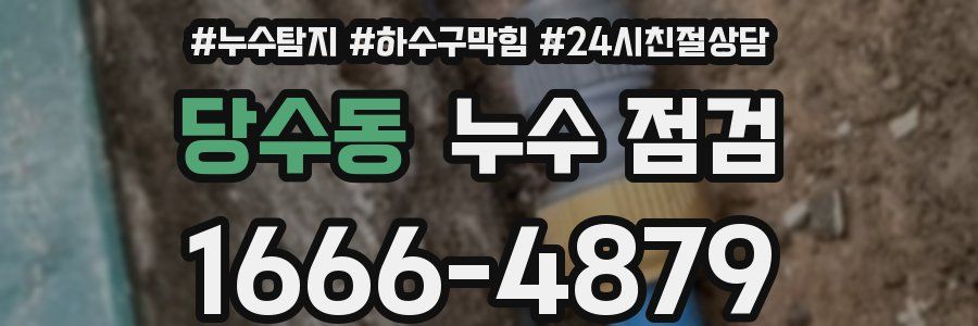 당수동 누수 점검