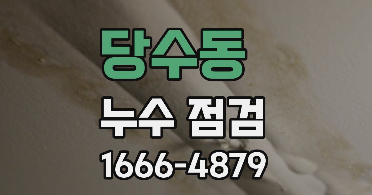 당수동 누수 점검