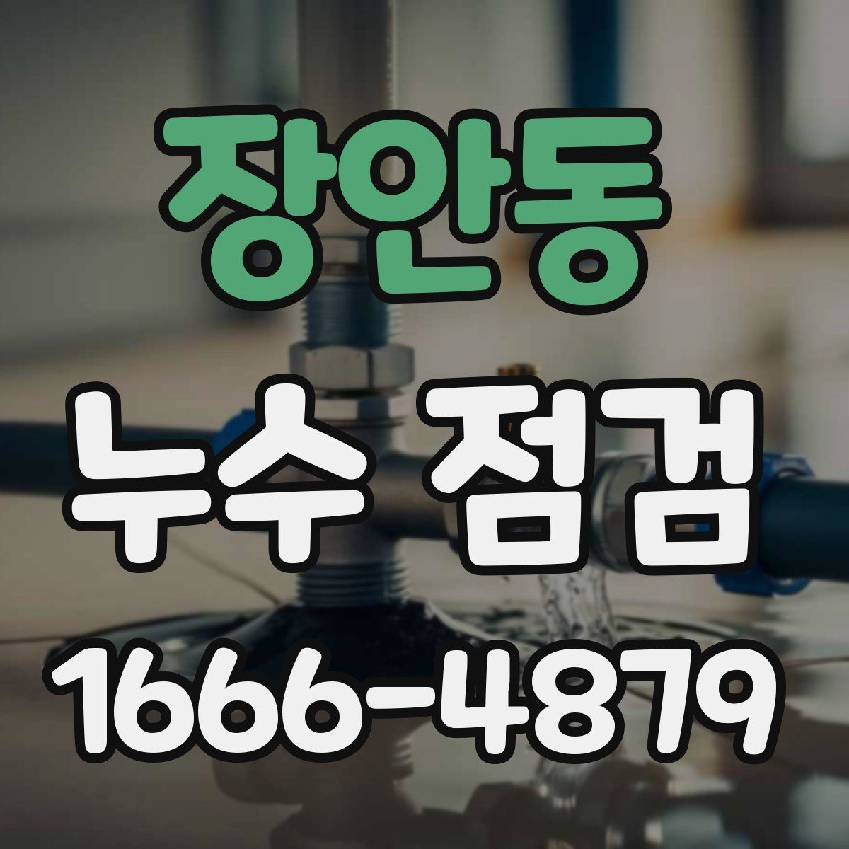 장안동 누수 점검