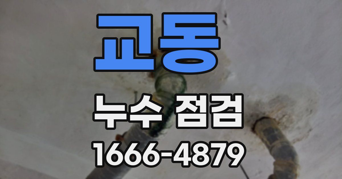 교동 누수 점검