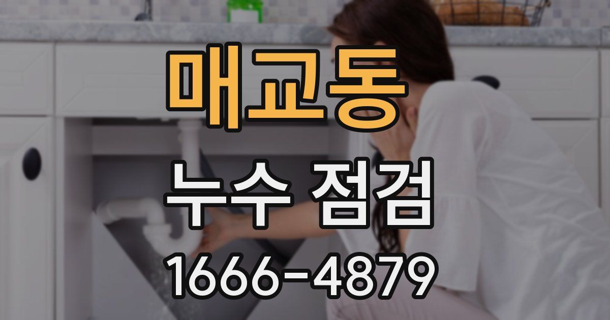 매교동 누수 점검