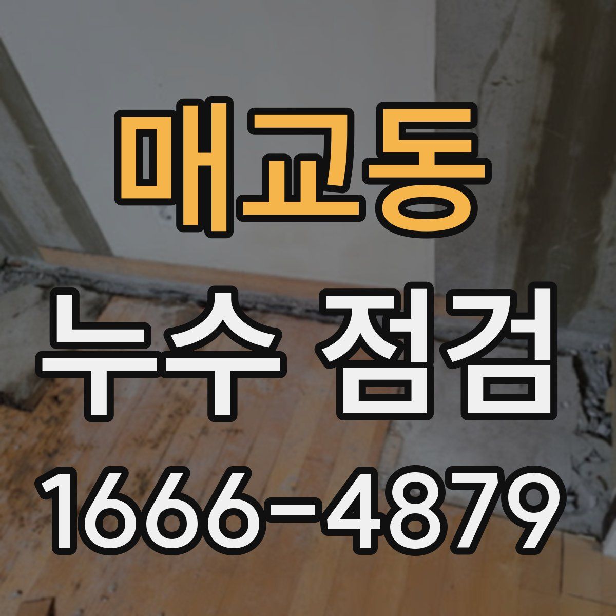 매교동 누수 점검