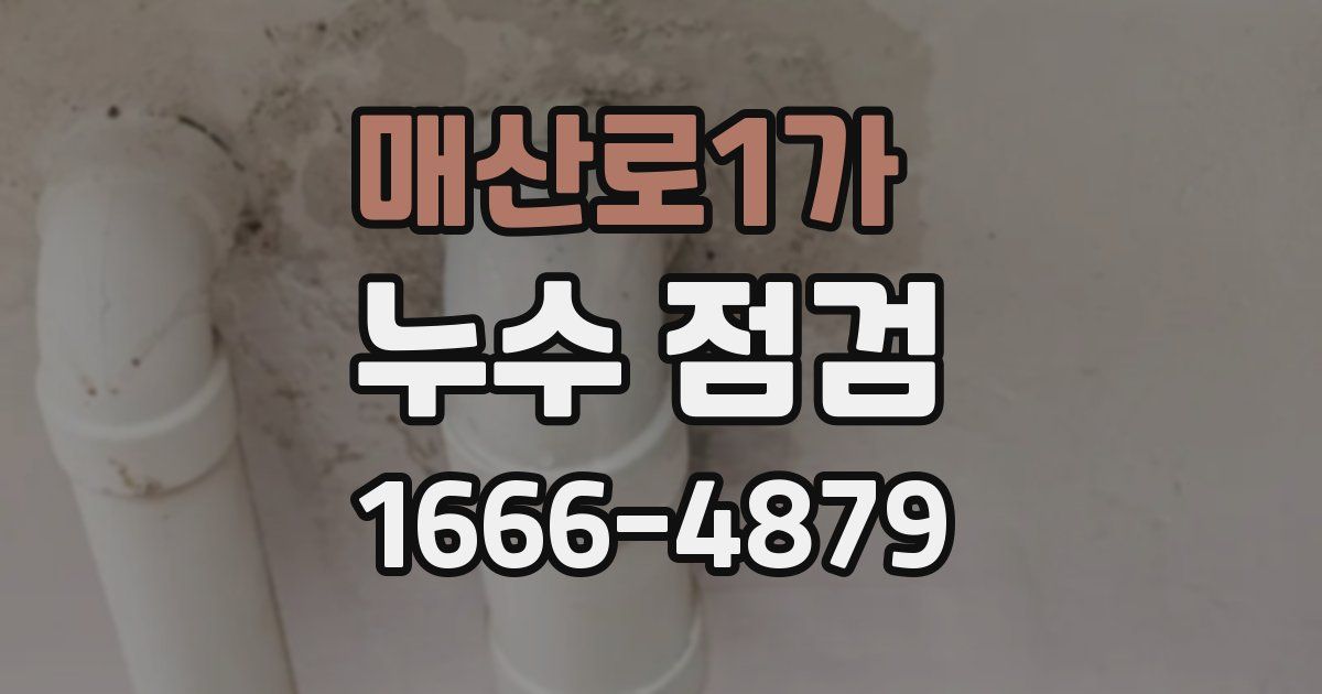 매산로1가 누수 점검