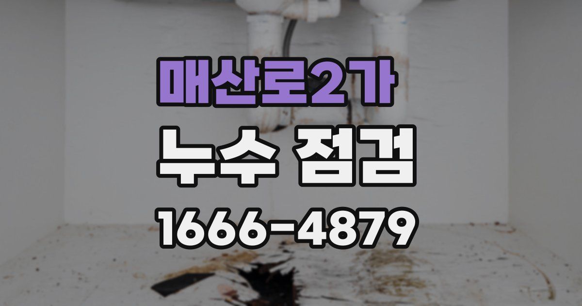 매산로2가 누수 점검