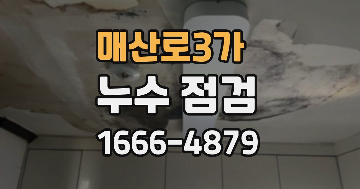 매산로3가 누수 점검
