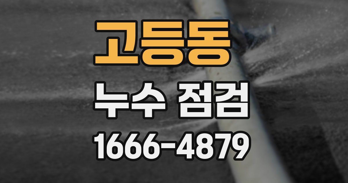 고등동 누수 점검