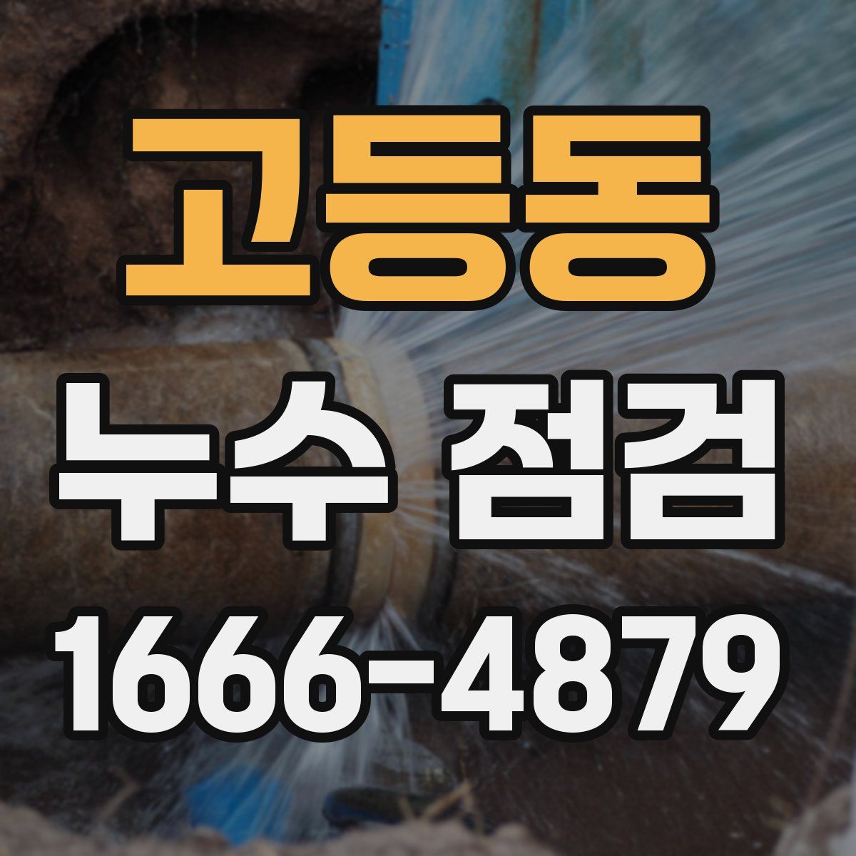 고등동 누수 점검