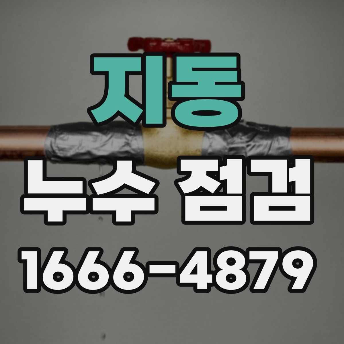 지동 누수 점검