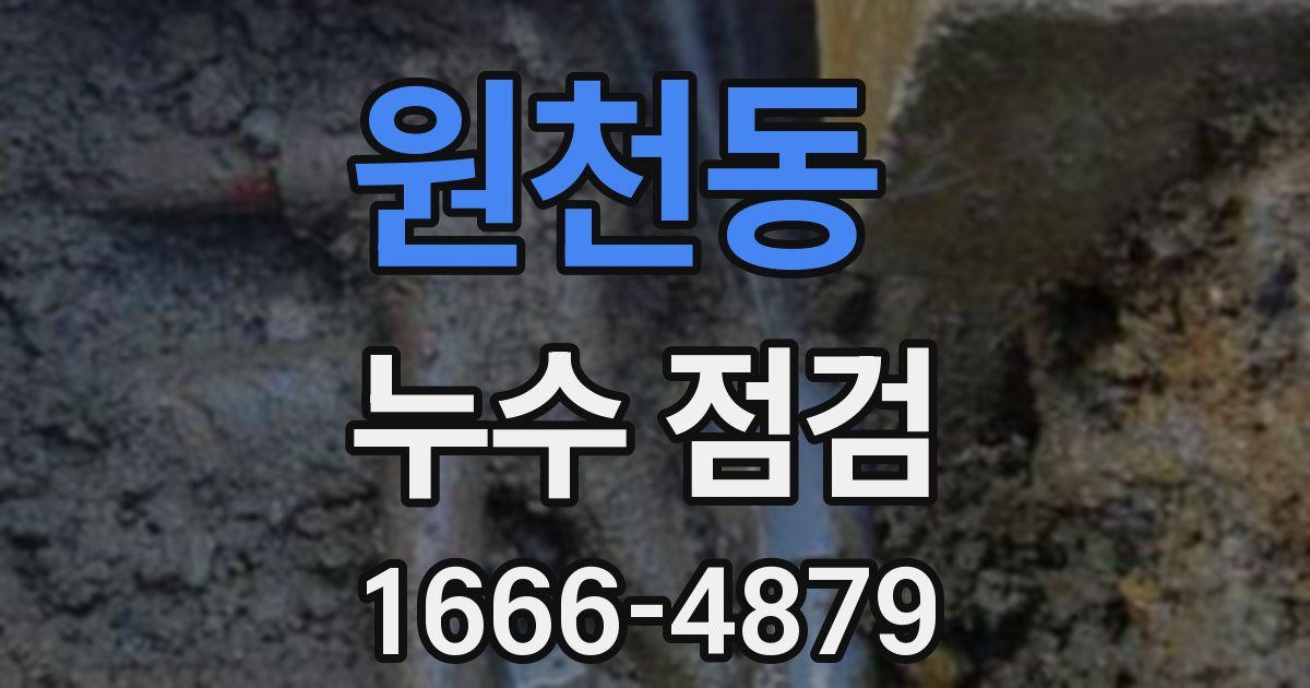 원천동 누수 점검