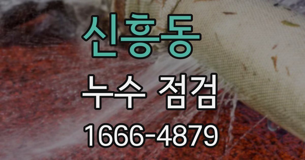 신흥동 누수 점검