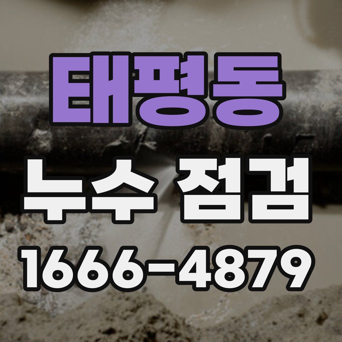 태평동 누수 점검
