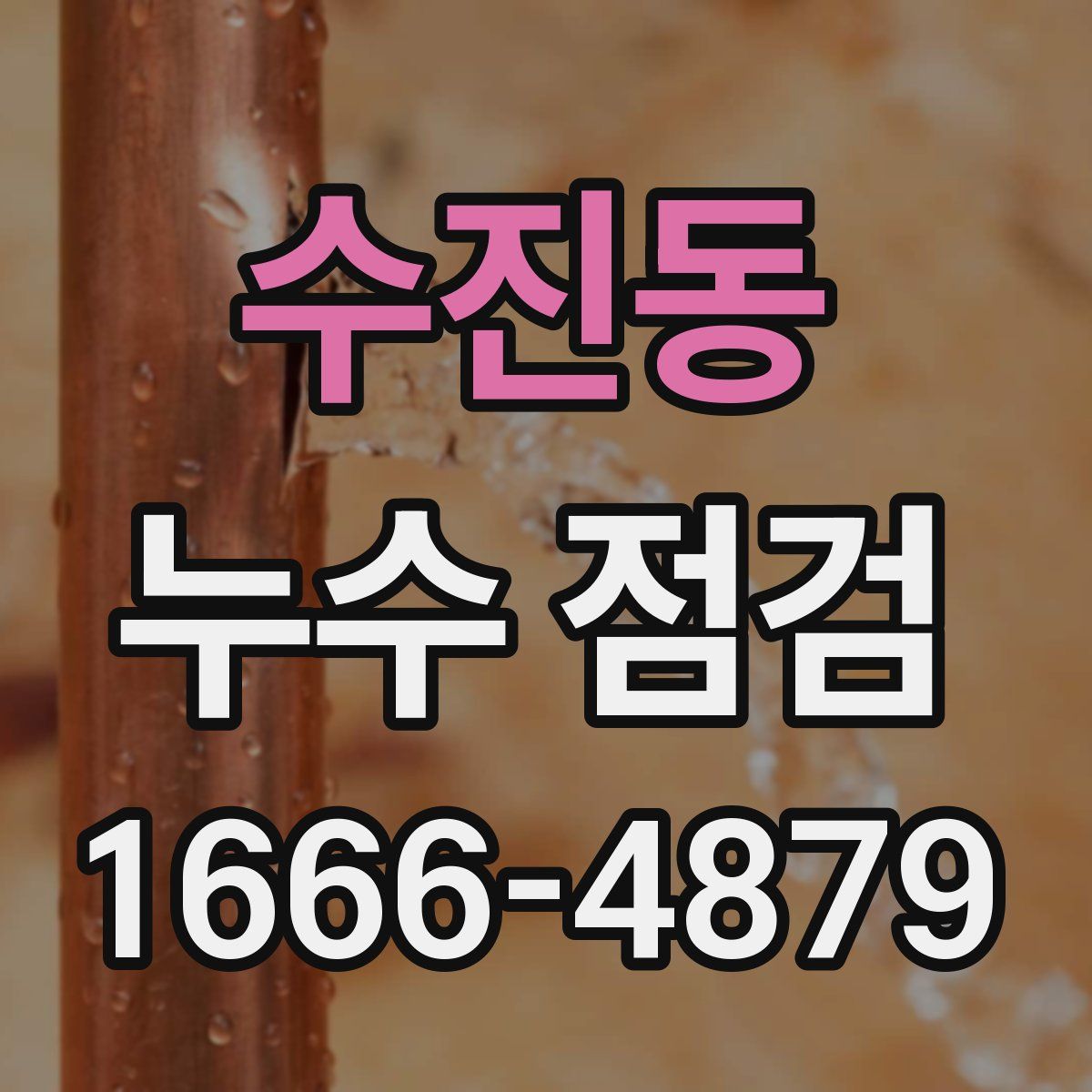 수진동 누수 점검