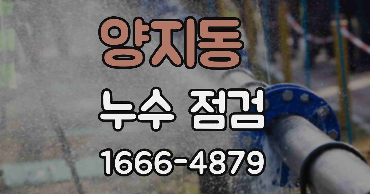 양지동 누수 점검