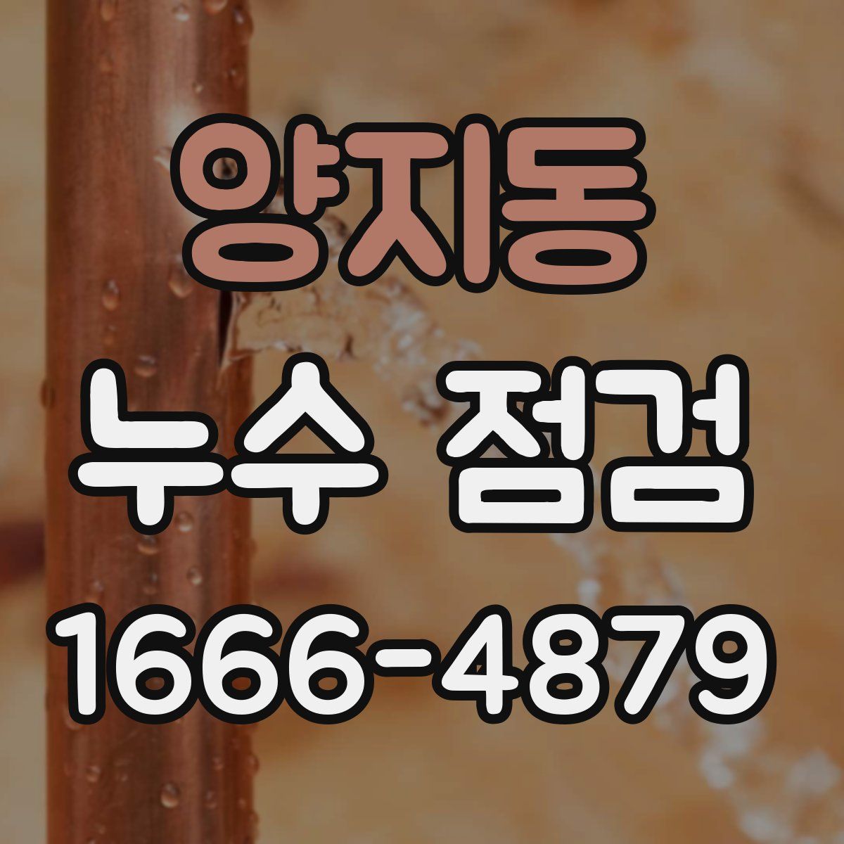 양지동 누수 점검