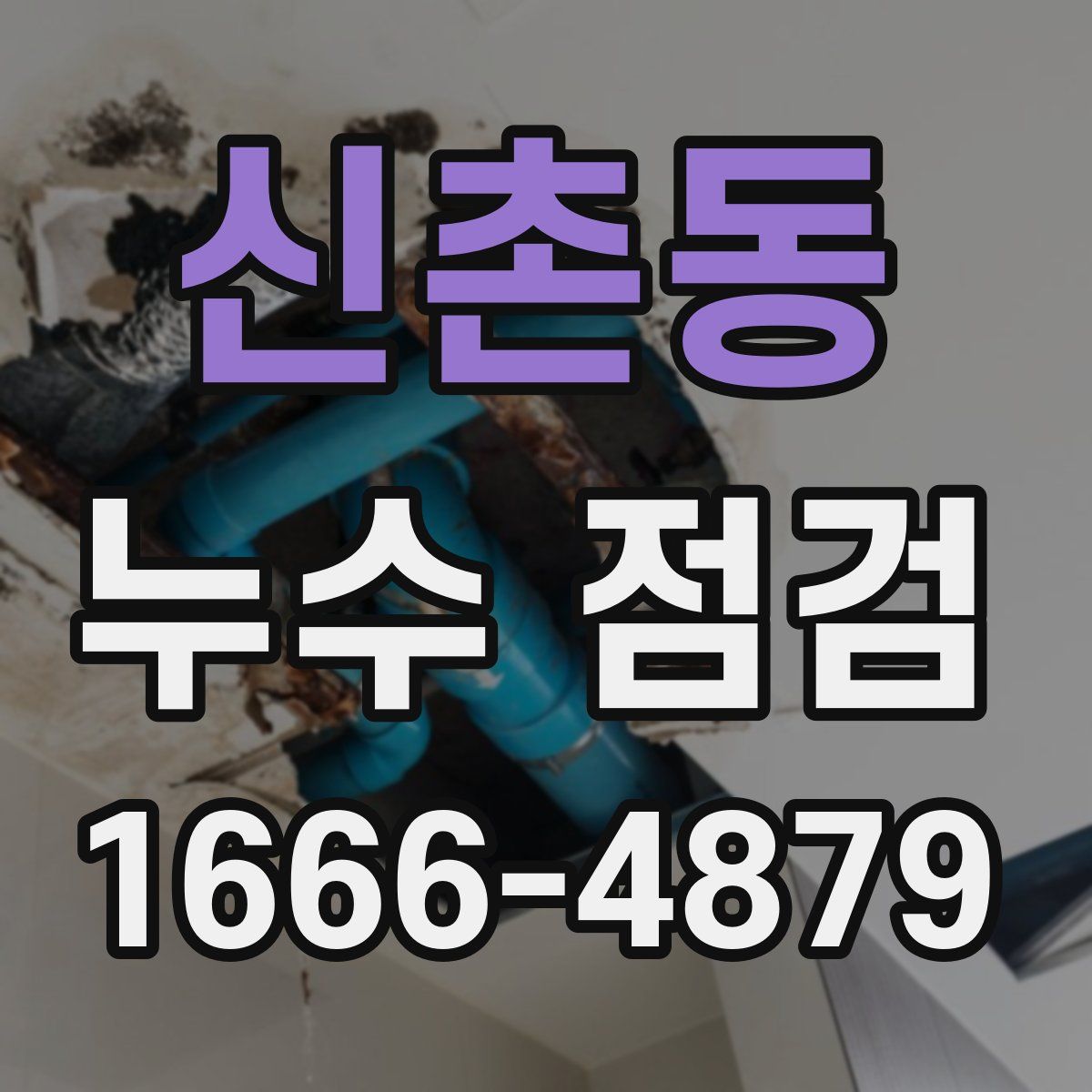 신촌동 누수 점검