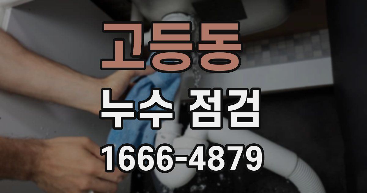 고등동 누수 점검