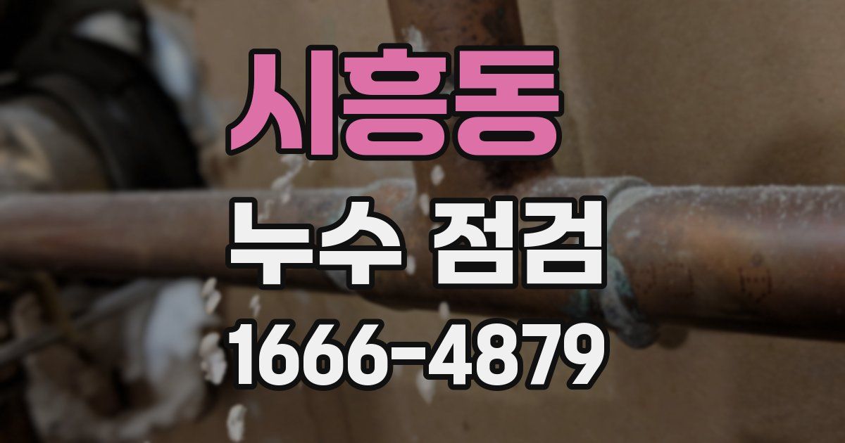 시흥동 누수 점검