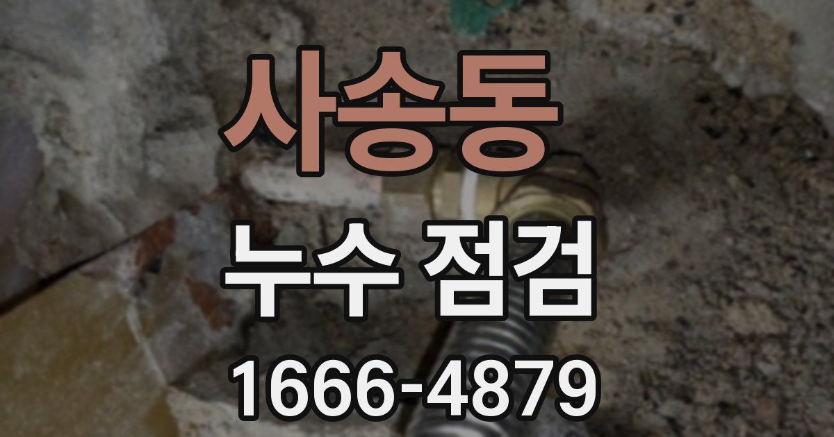 사송동 누수 점검