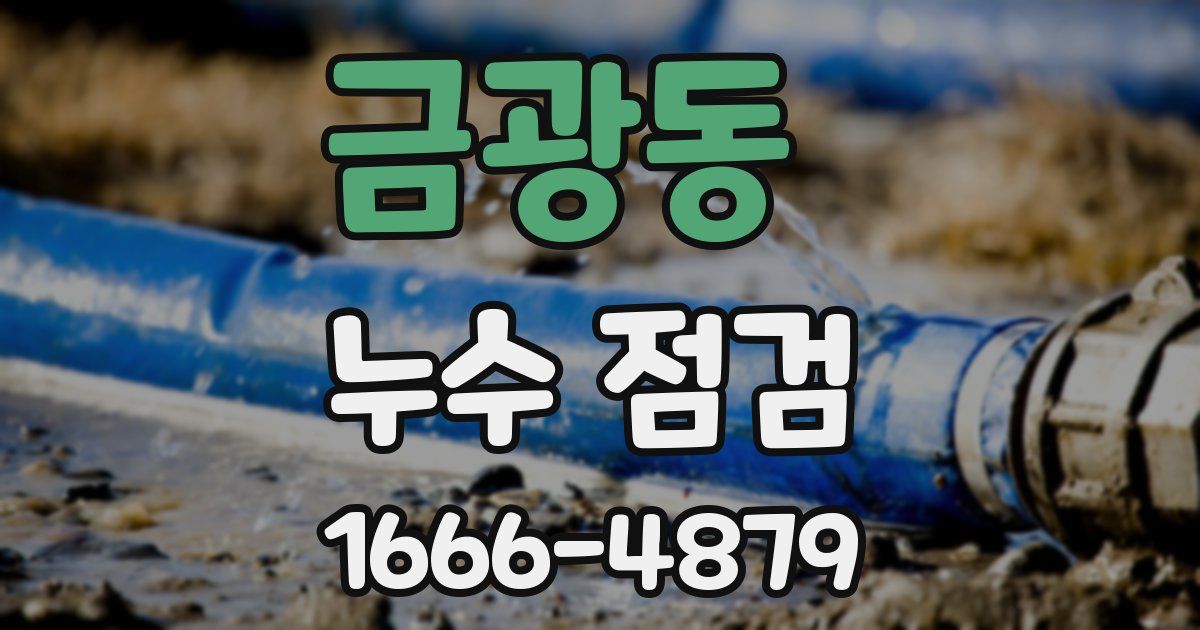 금광동 누수 점검