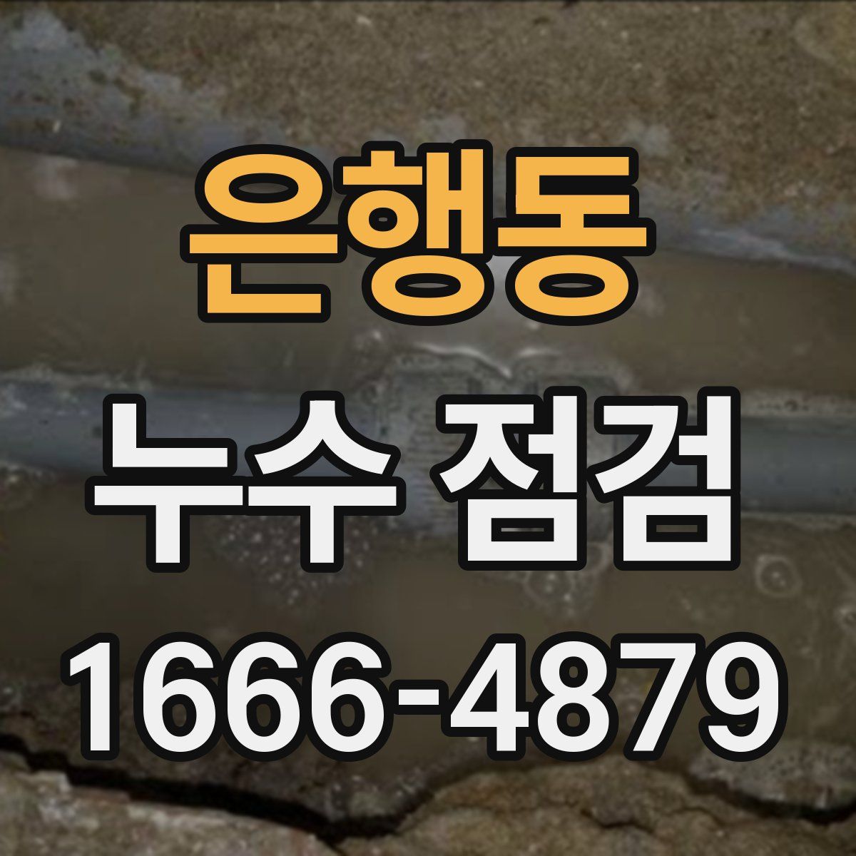 은행동 누수 점검