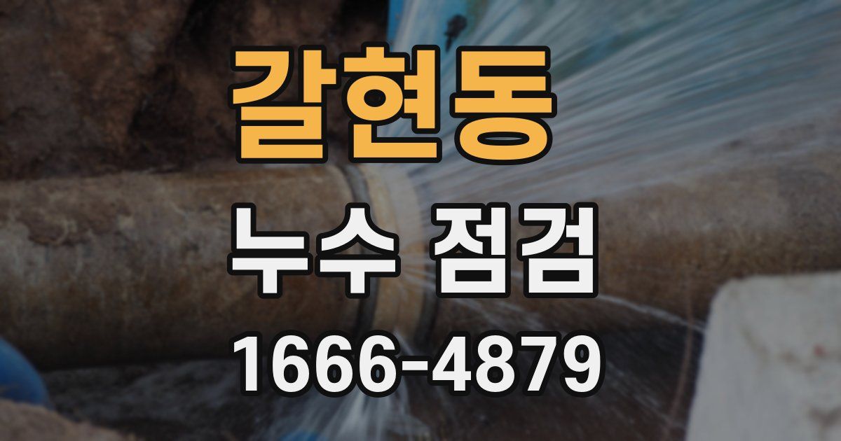 갈현동 누수 점검
