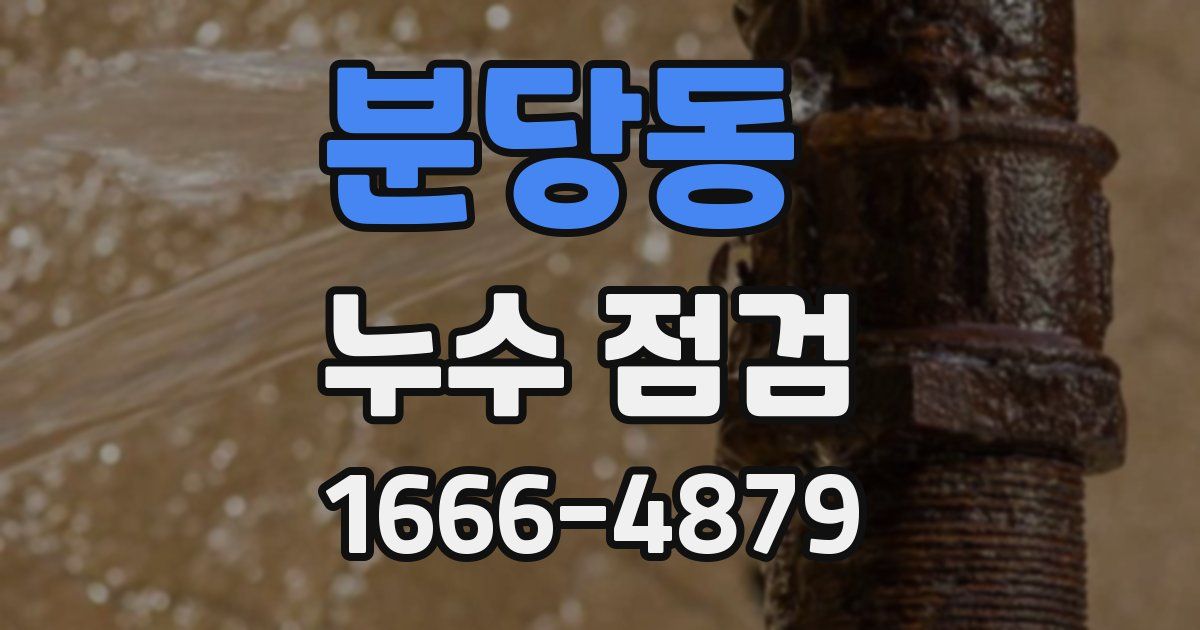 분당동 누수 점검