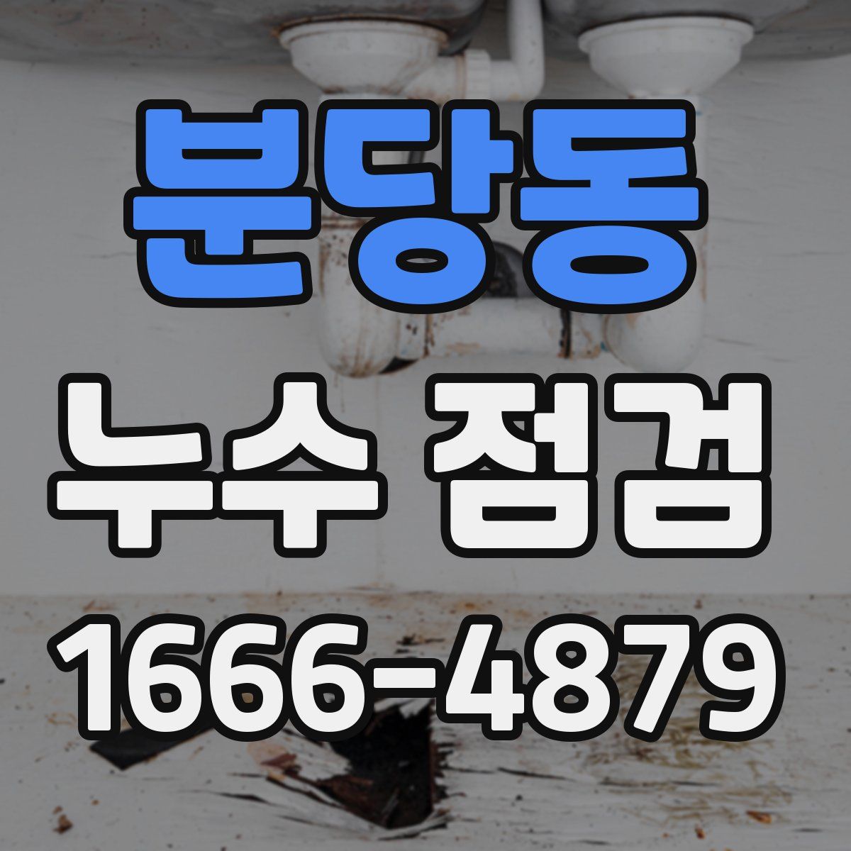 분당동 누수 점검