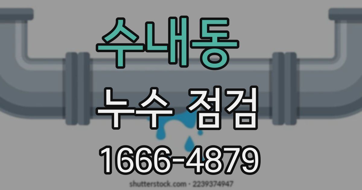 수내동 누수 점검