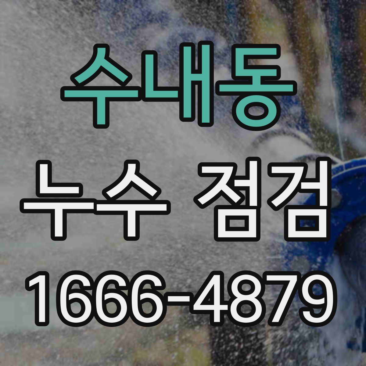 수내동 누수 점검