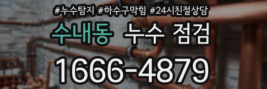 수내동 누수 점검