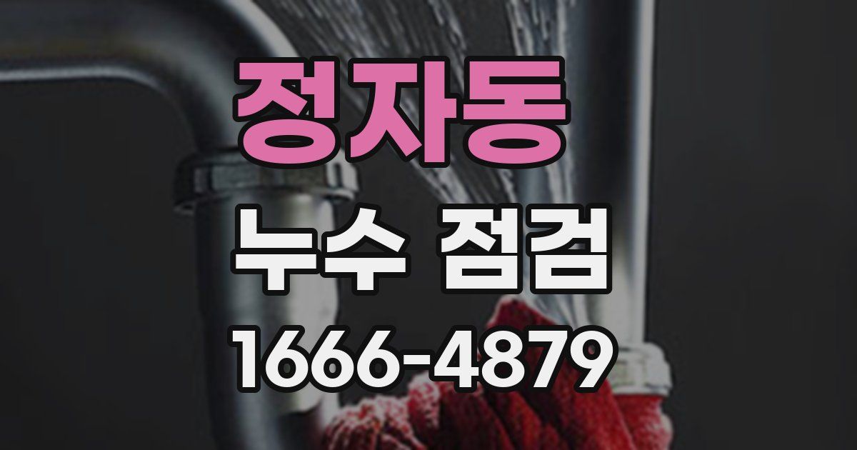 정자동 누수 점검