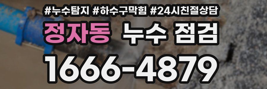 정자동 누수 점검