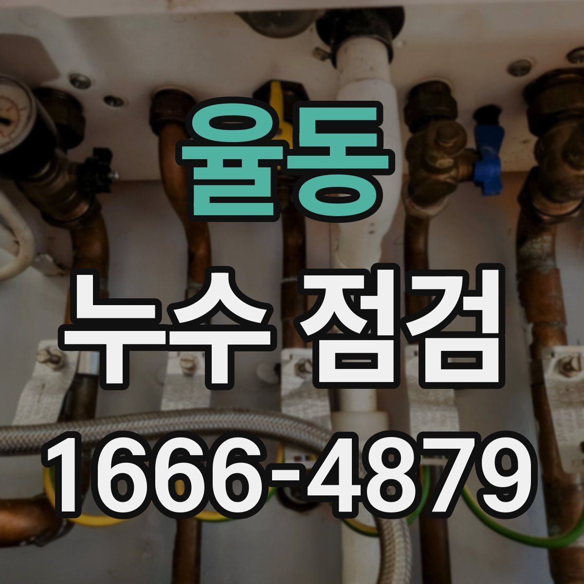 율동 누수 점검